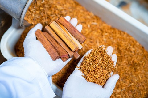 สมุนไพร สมุนไพร